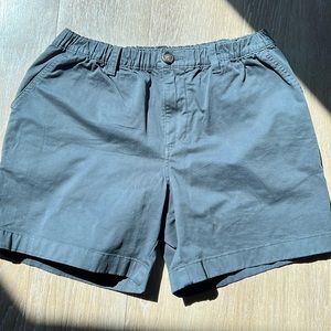 Chubbies Shorts